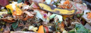 kompost a zbytky jídla