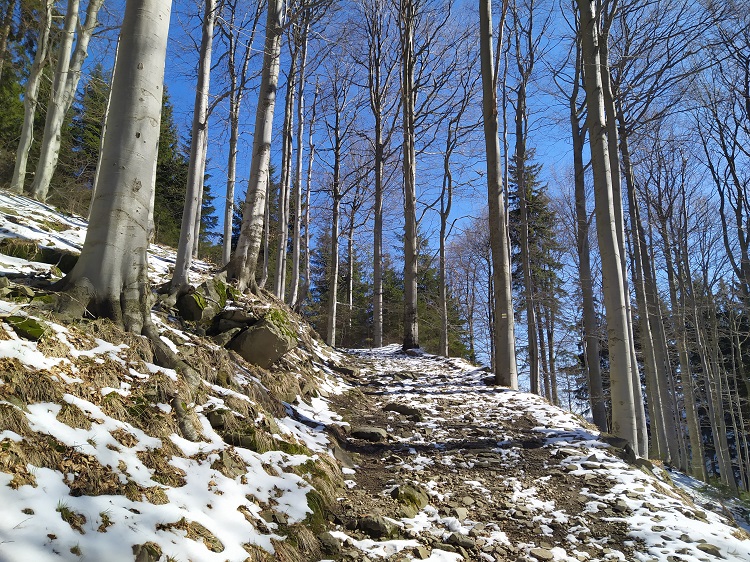 Kamenná cesta k vrcholu Lysé hory