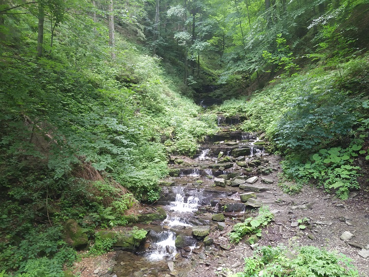 Kaskády potoka Hlísník